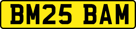 BM25BAM