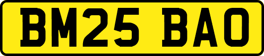 BM25BAO