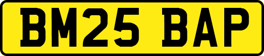 BM25BAP