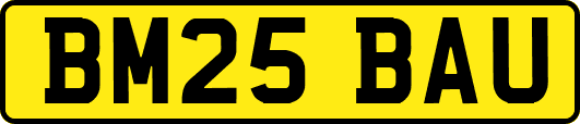 BM25BAU