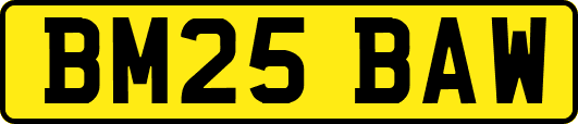 BM25BAW