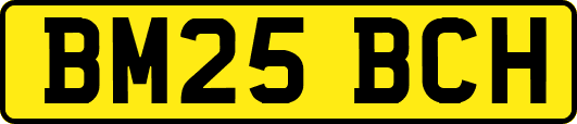 BM25BCH