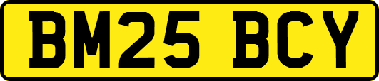BM25BCY