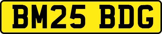 BM25BDG