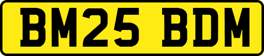 BM25BDM