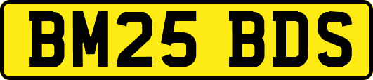 BM25BDS