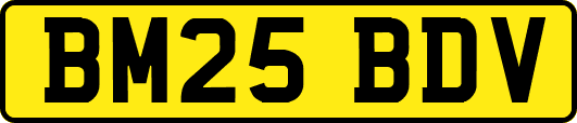 BM25BDV