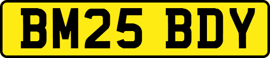 BM25BDY