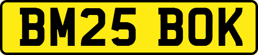 BM25BOK