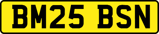 BM25BSN