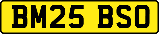 BM25BSO