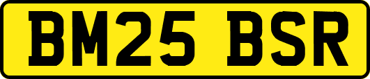 BM25BSR