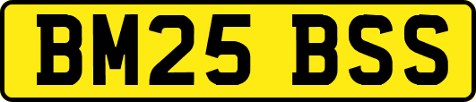 BM25BSS