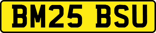 BM25BSU
