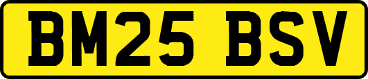 BM25BSV