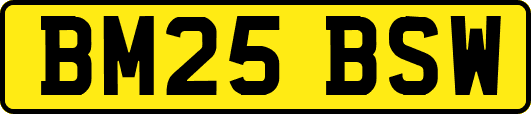 BM25BSW