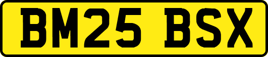 BM25BSX