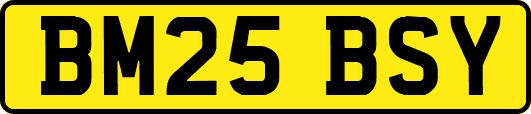 BM25BSY