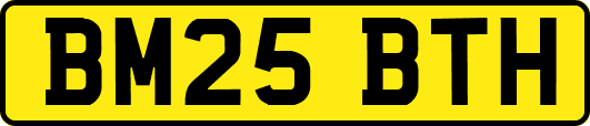 BM25BTH