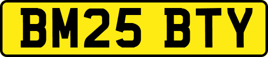 BM25BTY
