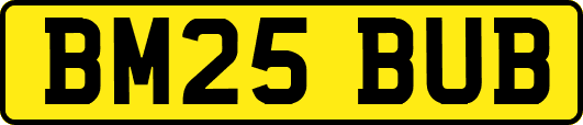 BM25BUB