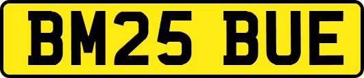 BM25BUE