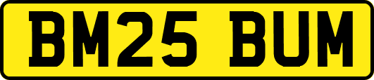 BM25BUM