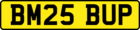 BM25BUP
