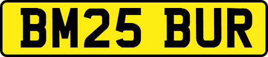 BM25BUR