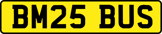 BM25BUS