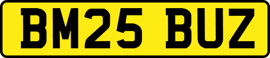 BM25BUZ