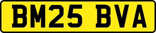 BM25BVA
