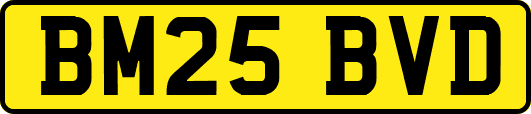 BM25BVD
