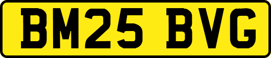 BM25BVG