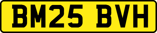 BM25BVH