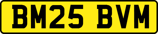 BM25BVM