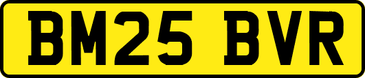 BM25BVR