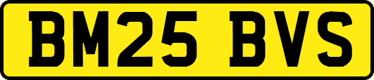 BM25BVS