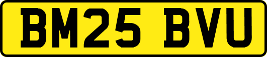BM25BVU