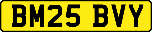 BM25BVY