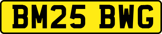 BM25BWG