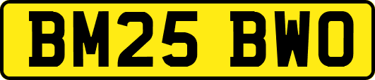BM25BWO