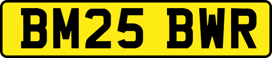 BM25BWR