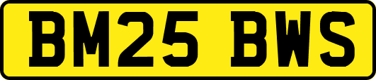 BM25BWS