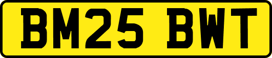 BM25BWT