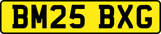 BM25BXG
