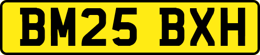BM25BXH