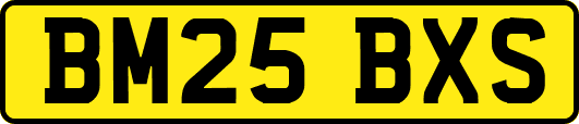 BM25BXS