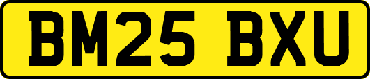 BM25BXU