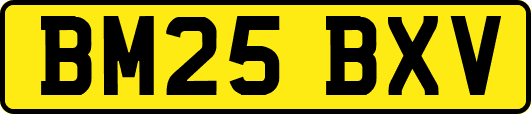 BM25BXV
